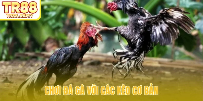Chơi đá gà với các kèo cơ bản